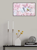Cherry-blossom color Poster och Canvastavla