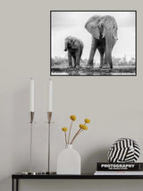 DUO Poster och Canvastavla
