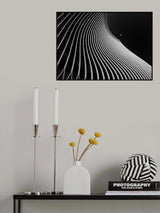 Flight moment Poster och Canvastavla
