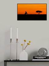 Topi at sunrise Poster och Canvastavla