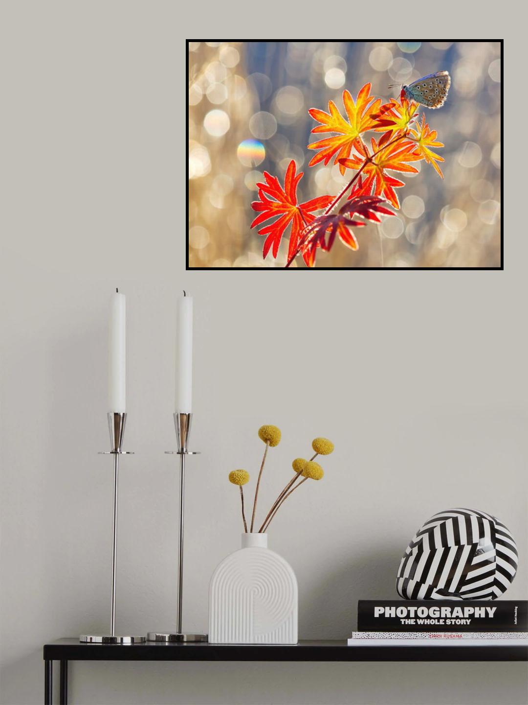 September moments Poster och Canvastavla