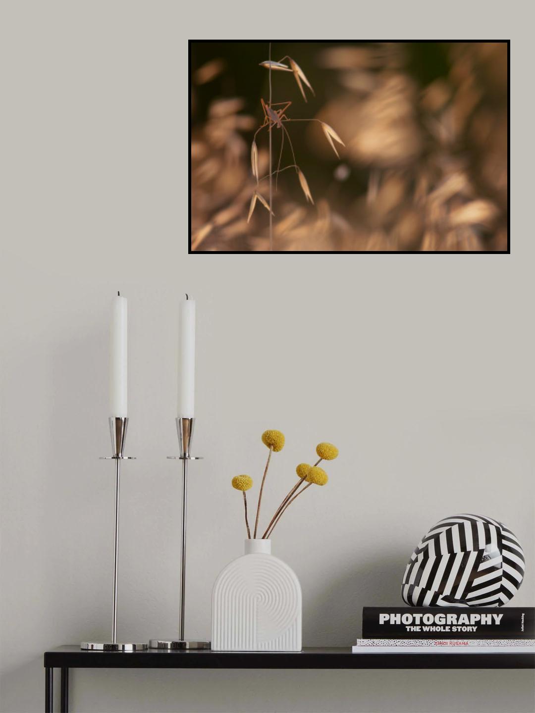 Grasshopper Poster och Canvastavla
