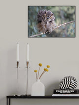 How are you Poster och Canvastavla