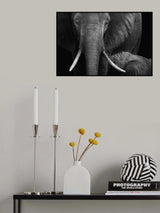 Feeding Poster och Canvastavla