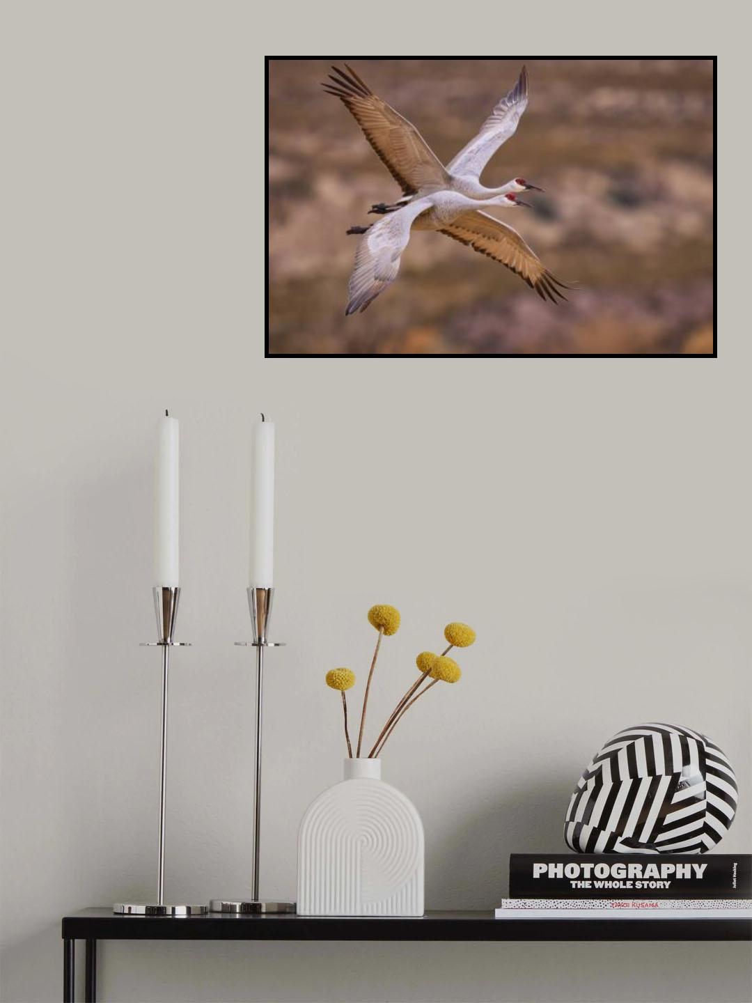 Xing Poster och Canvastavla