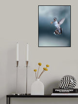 Hummingbird VS Bee Poster och Canvastavla