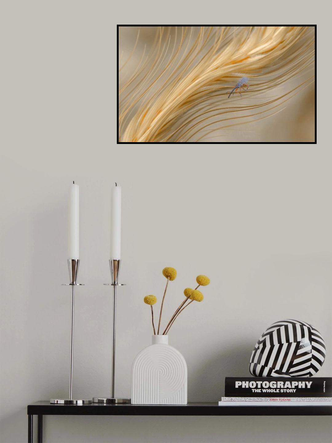 In the autumn wind... Poster och Canvastavla