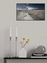 Fisherman's Bottle Poster och Canvastavla
