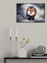 Renart Poster och Canvastavla