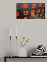 Dutch people are in love with orange...! Poster och Canvastavla