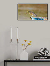 Poster och Canvastavla