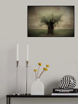 Olive Poster och Canvastavla