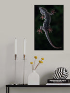 Good night! Poster och Canvastavla