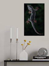 Good night! Poster och Canvastavla
