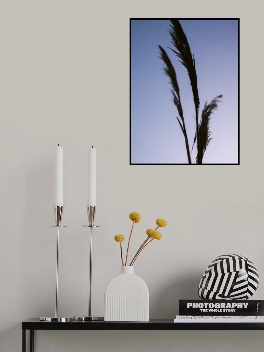 Shades of Purple Poster och Canvastavla