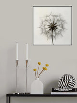 Tragopogon Poster och Canvastavla