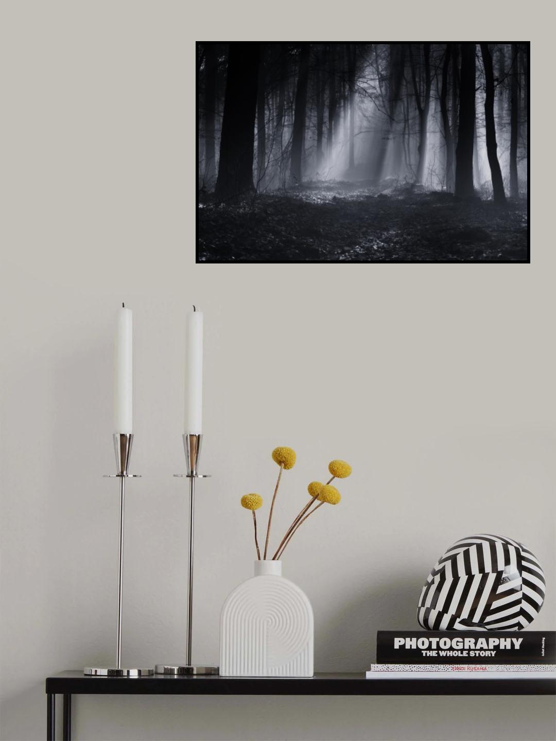 Capela forest Poster och Canvastavla