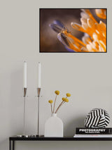 On the border of two worlds... Poster och Canvastavla