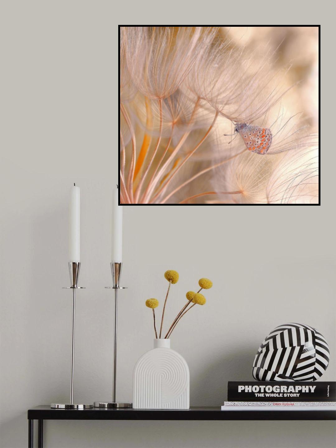 In the wind of spring... Poster och Canvastavla