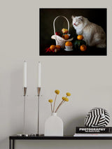 Cat and fruit Poster och Canvastavla