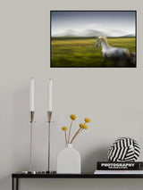 freedom Poster och Canvastavla