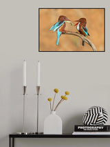 Mantis for breakfast Poster och Canvastavla