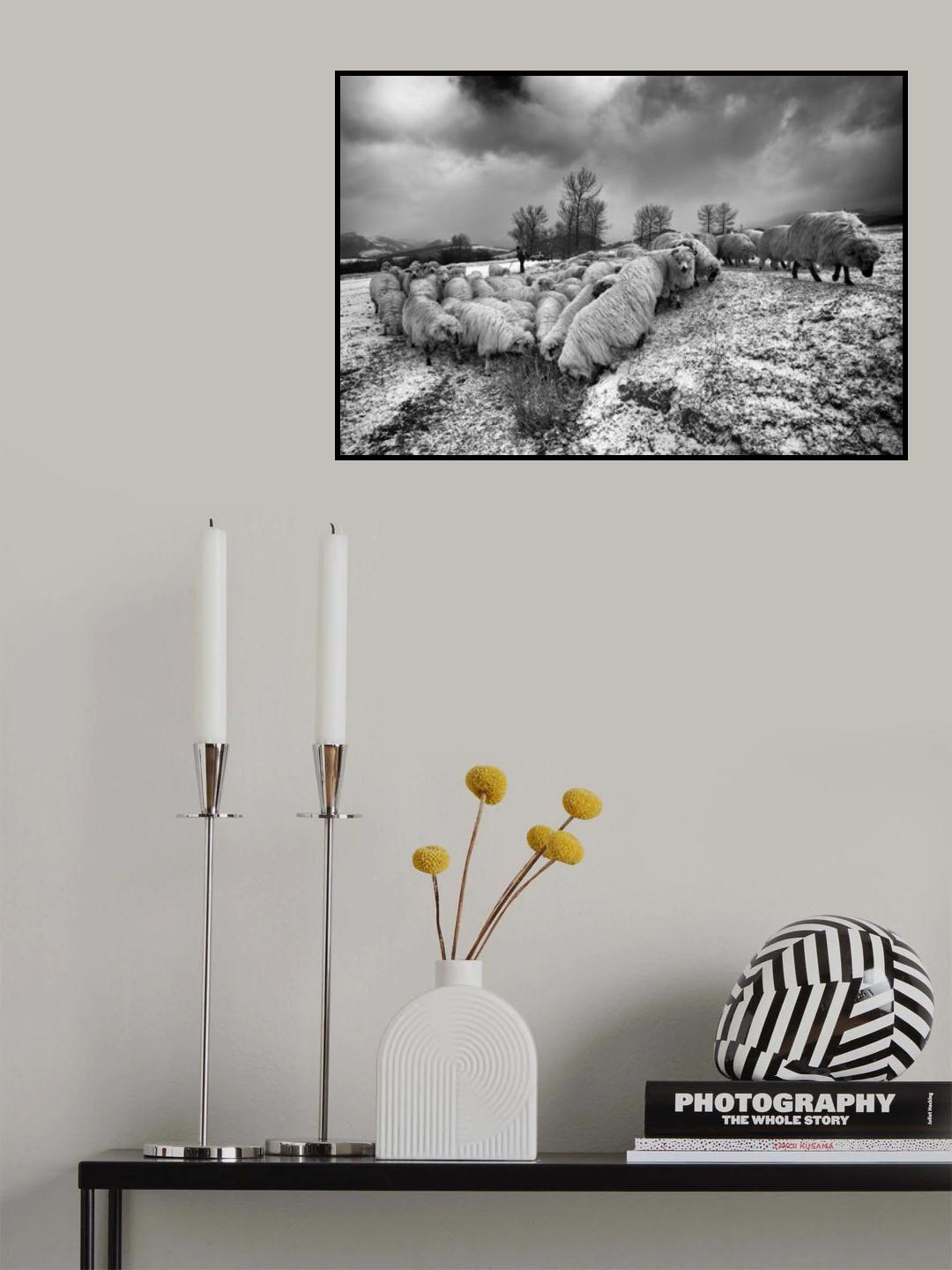 No so much grass Poster och Canvastavla