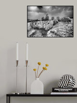 No so much grass Poster och Canvastavla