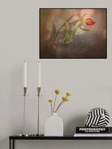 Shadows Poster och Canvastavla