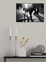 The dog saw that light Poster och Canvastavla