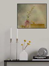 Physalis Poster och Canvastavla