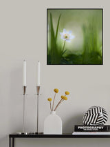 alone......... Poster och Canvastavla