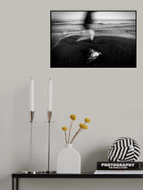 fly Poster och Canvastavla