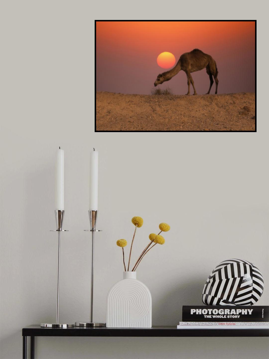 without mercy Poster och Canvastavla