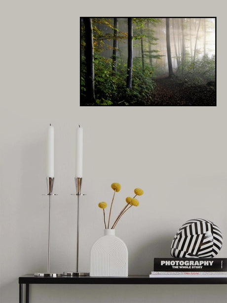 late summer forest Poster och Canvastavla