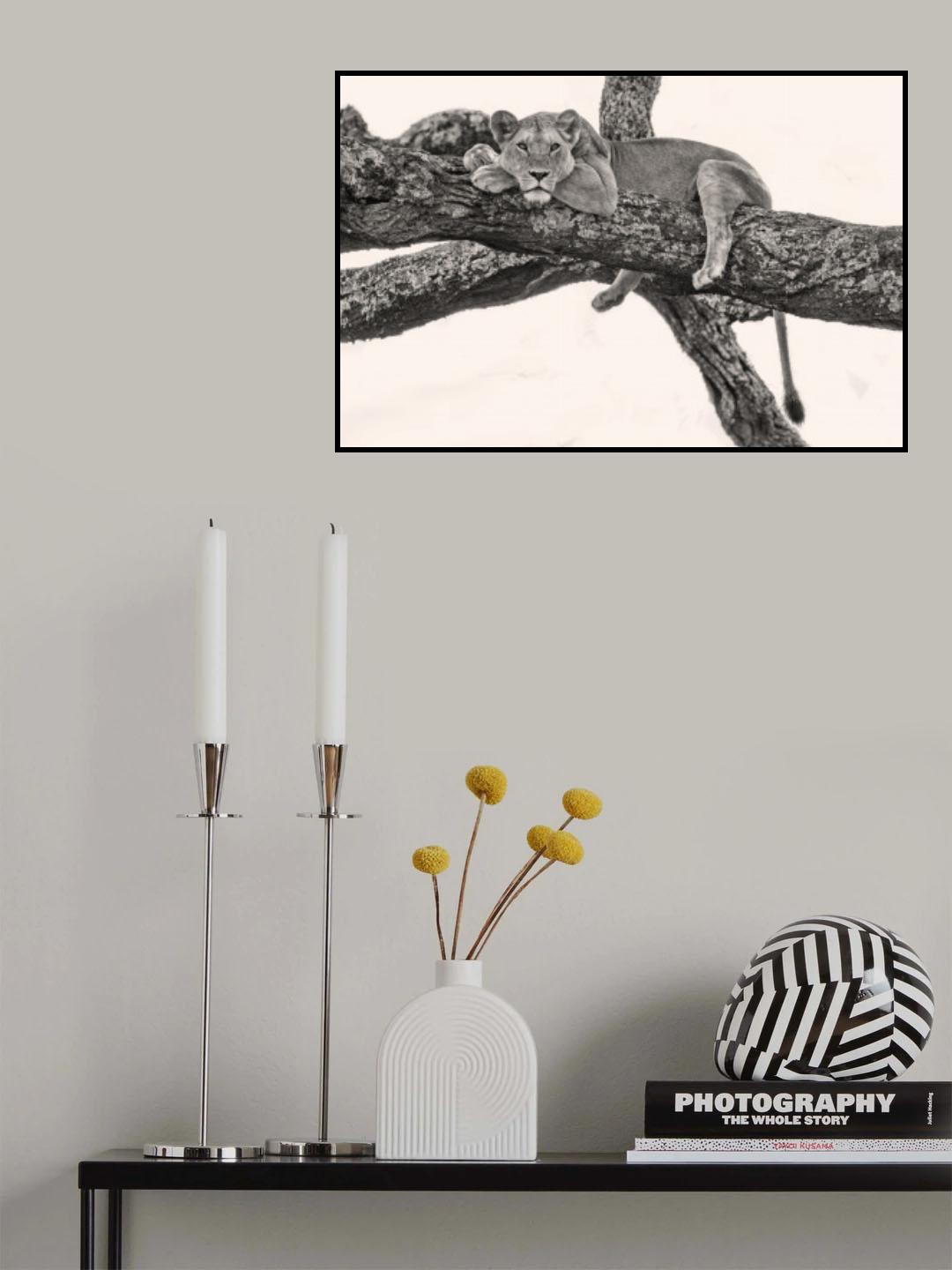Lady Savannah Poster och Canvastavla