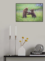 "when push comes to shove" Poster och Canvastavla