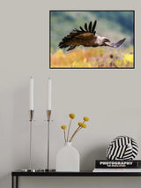 flight Poster och Canvastavla