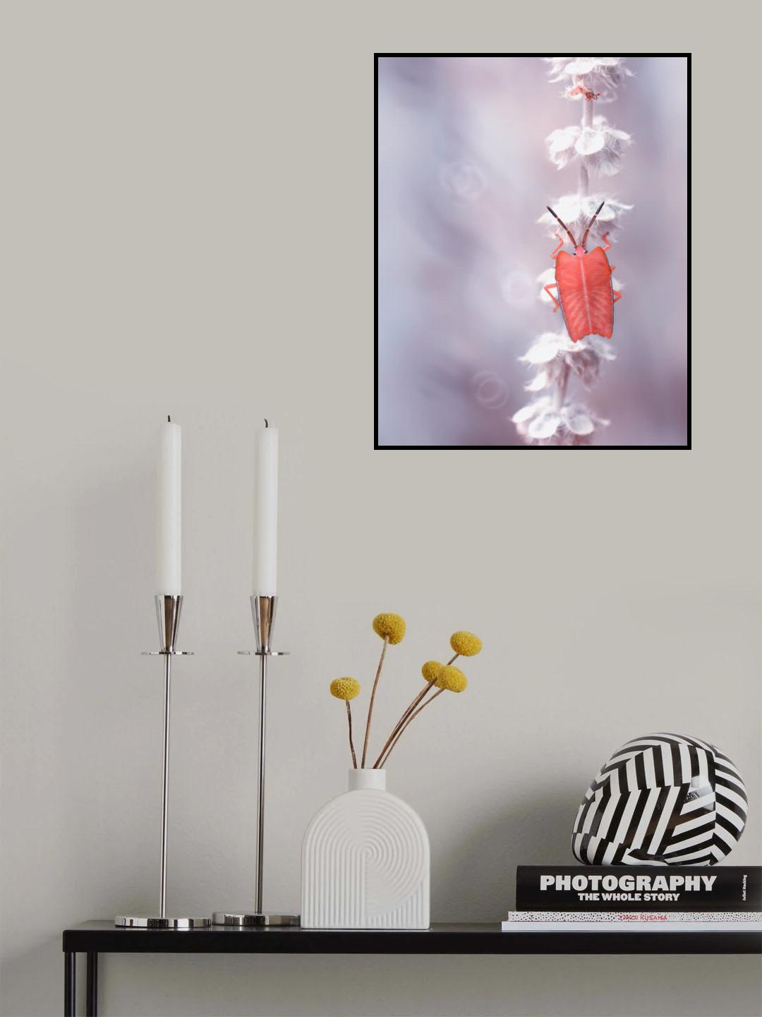 The Tenderness of The Skeleton Bug Poster och Canvastavla