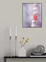 The Tenderness of The Skeleton Bug Poster och Canvastavla