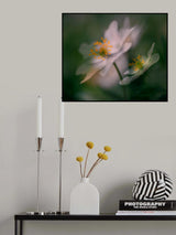 A glimpse of spring. Poster och Canvastavla