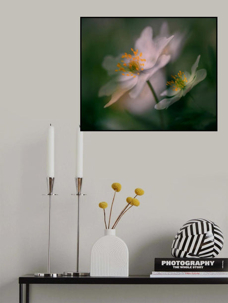 A glimpse of spring. Poster och Canvastavla
