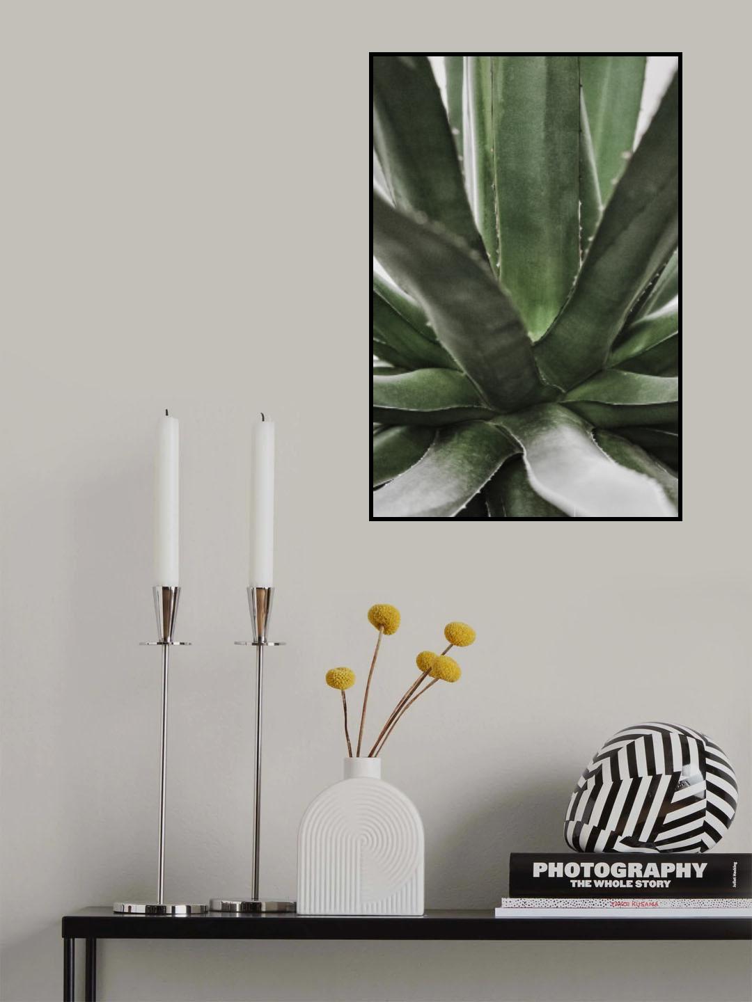Succulent Poster och Canvastavla