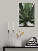 Succulent Poster och Canvastavla