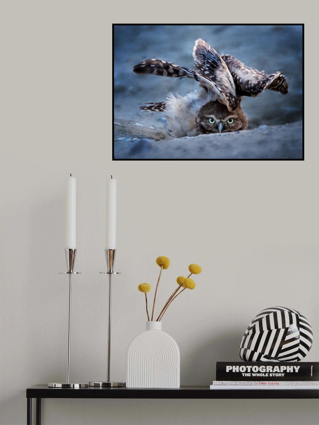 Hideing Poster och Canvastavla
