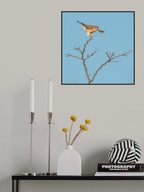Balancing Act Poster och Canvastavla
