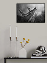 Deer Backlit Poster och Canvastavla