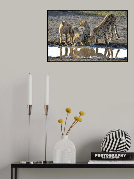 Drinking Poster och Canvastavla