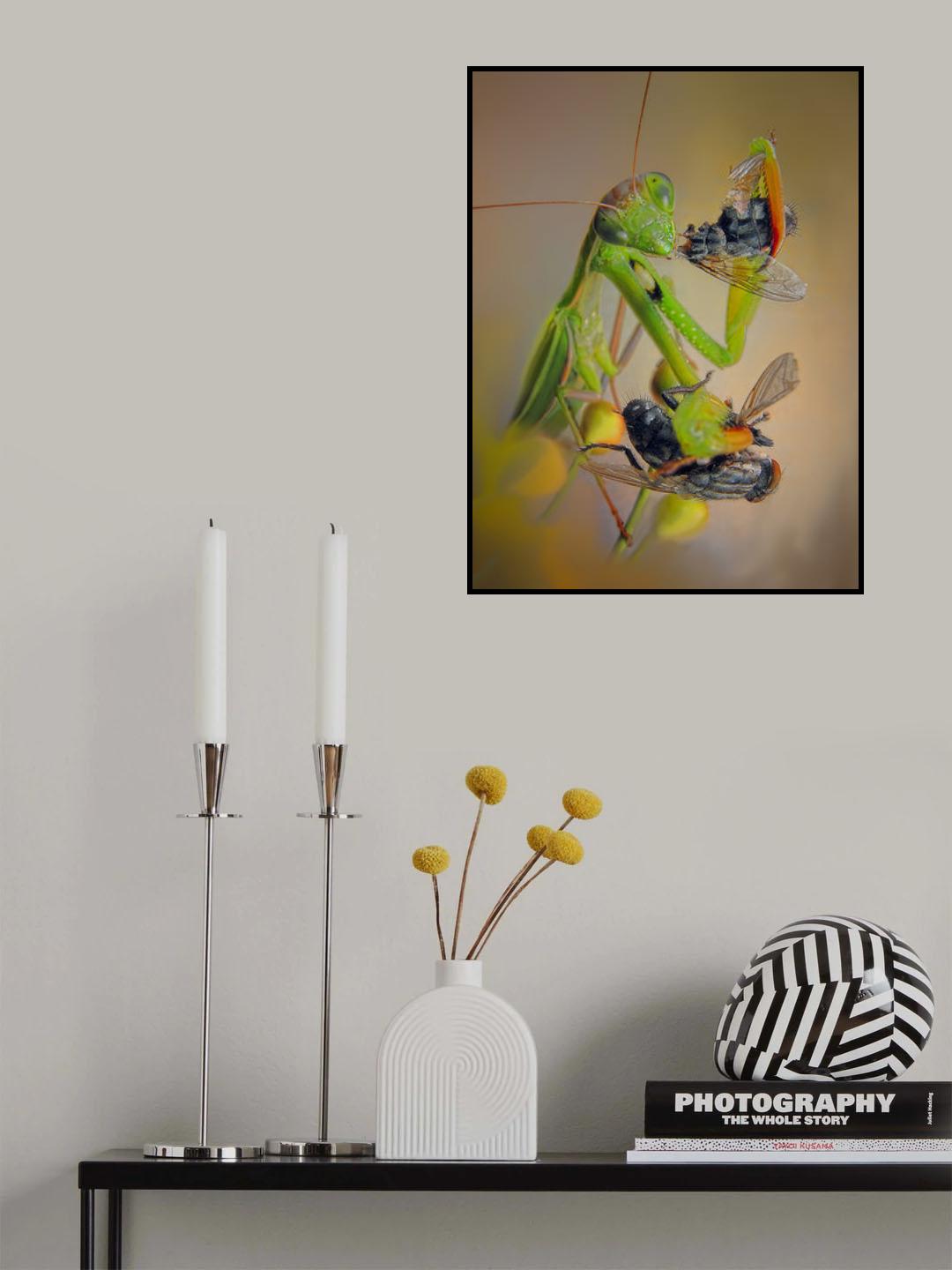 Greedy Poster och Canvastavla