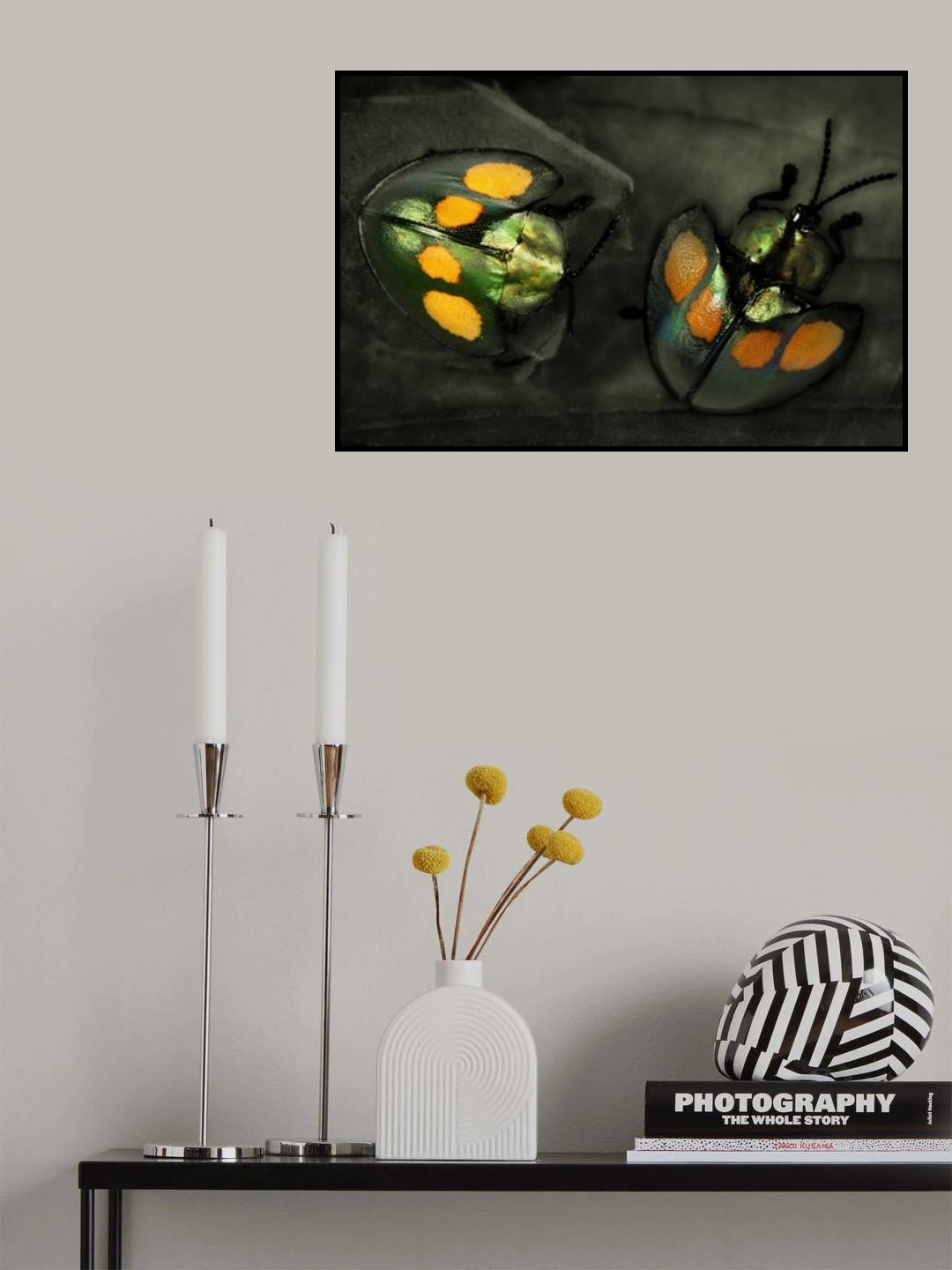 Leaf  beetles Poster och Canvastavla